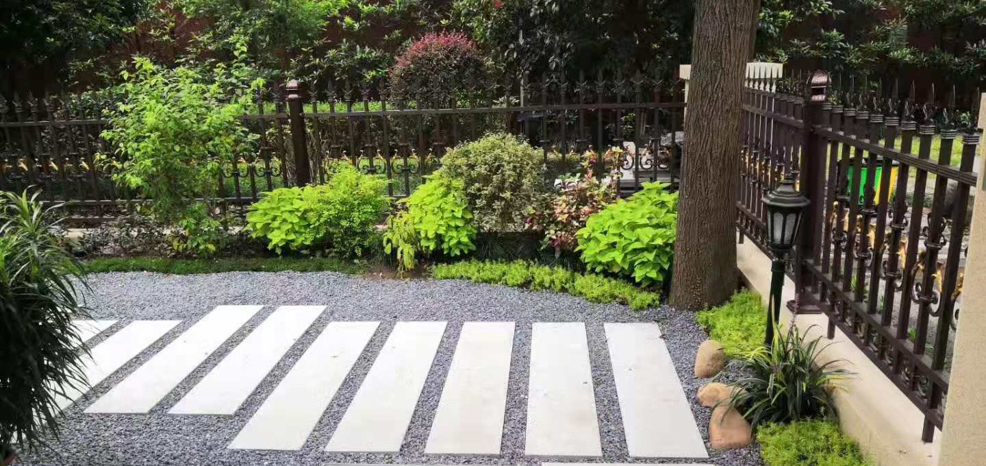 1716378090679693.jpg