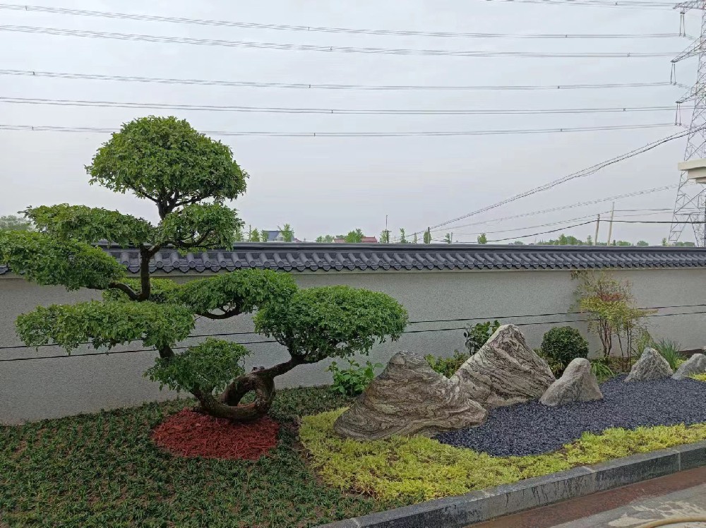 4-16自建庭院绿化
